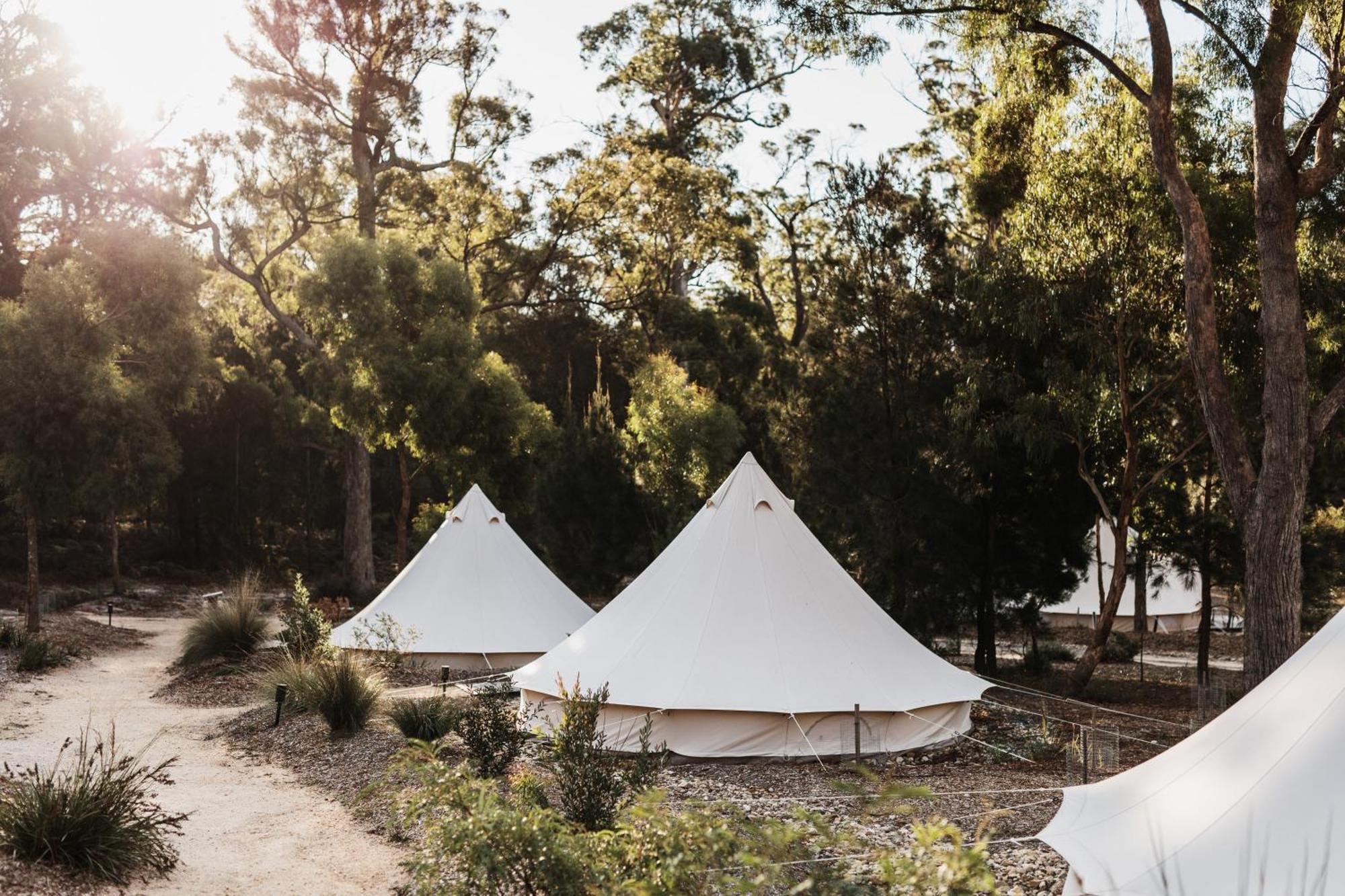 Bay Of Fires Bush Retreat Bed & Breakfast Binalong Bay ภายนอก รูปภาพ