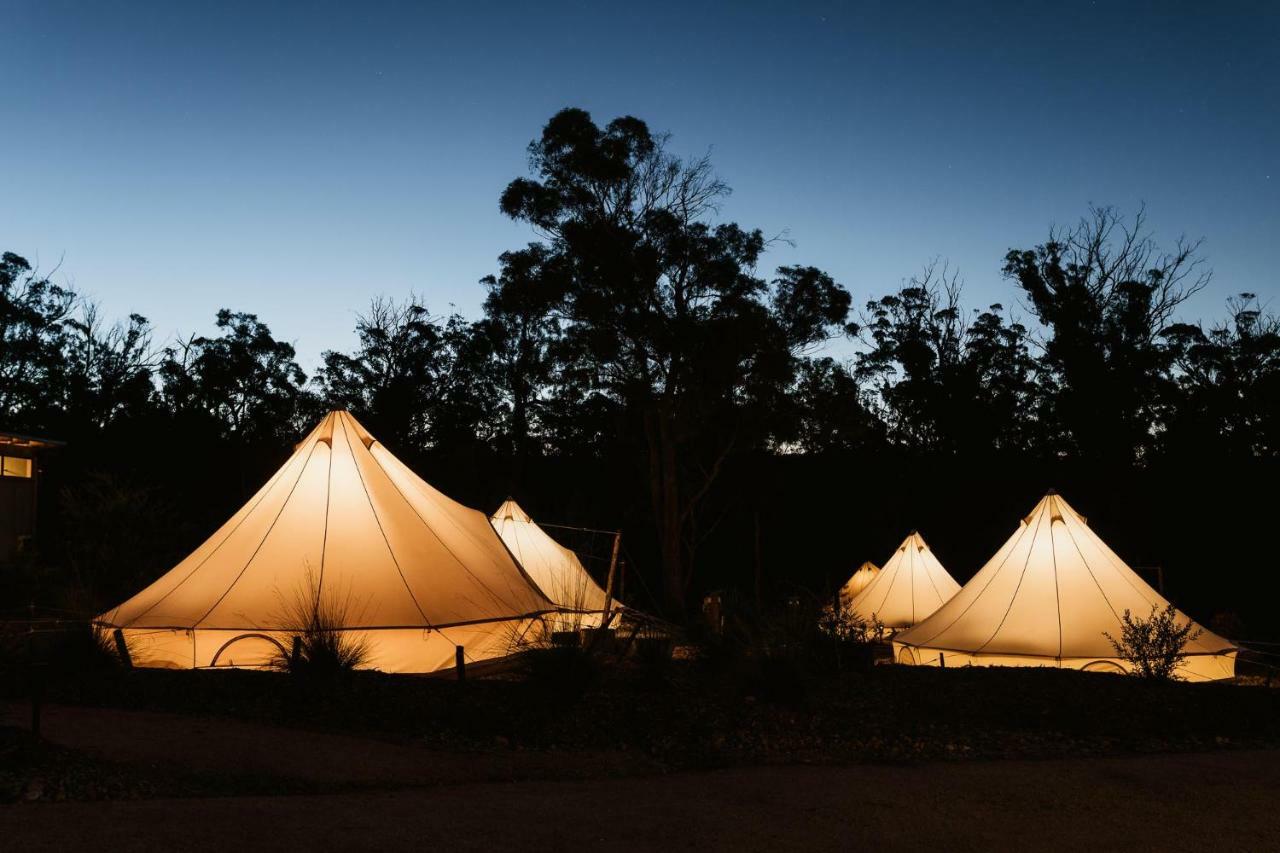 Bay Of Fires Bush Retreat Bed & Breakfast Binalong Bay ภายนอก รูปภาพ