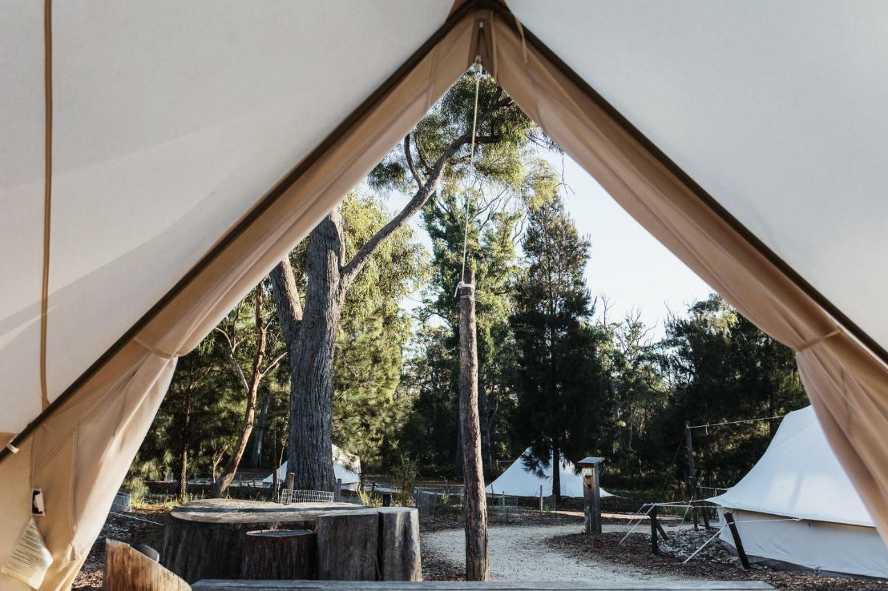 Bay Of Fires Bush Retreat Bed & Breakfast Binalong Bay ภายนอก รูปภาพ